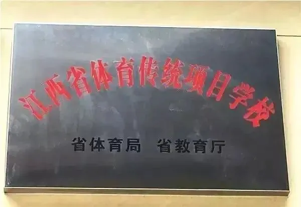 篮球训练的收获及体会_0